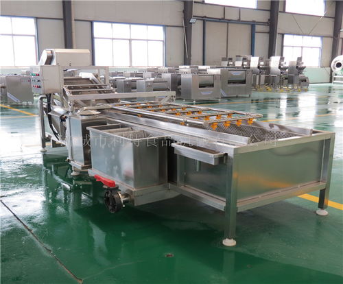 河南地区高压喷淋蔬菜清洗机选购指南与优质供应商推荐——诸城市利特食品机械